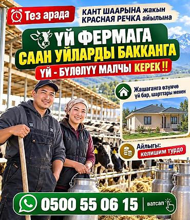 услуги повара на дому в бишкеке: Требуется Скотник, Оплата: Сдельная — 1