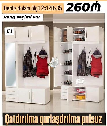 Шкафы-прихожие: Dəhliz dolabı yeni rəng seçimi var — 1