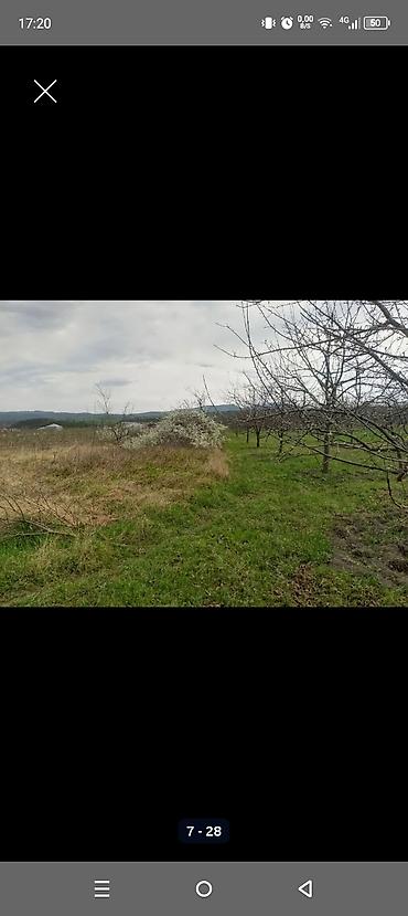 Torpaq sahələrinin satışı: Kənd təsərrüfatı — 6