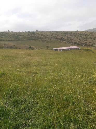 Həyət evləri və villaların satışı: Xizi rayonunda 4 hektar erazi arendeya verilir hasarli suyu qazi işiqi