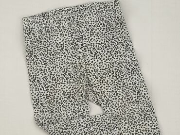 Leggings: Leggings, H&M, 9-12 months, condition - Perfect