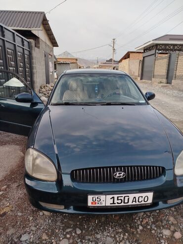 hyundai sonata афто: Hyundai Sonata: 1999 г., 2 л, Типтроник, Бензин