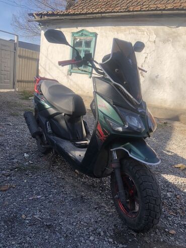 купить мотороллер муравей в бишкеке: Скутер городского/универсального класса с высокой защитной ветровой