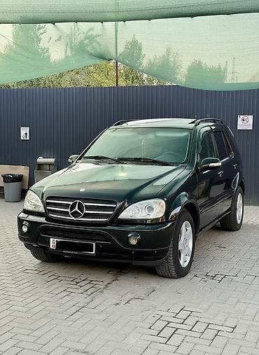 w163: Mercedes-Benz M-Class: 2003 г., 4 л, Типтроник, Дизель, Кроссовер — 1