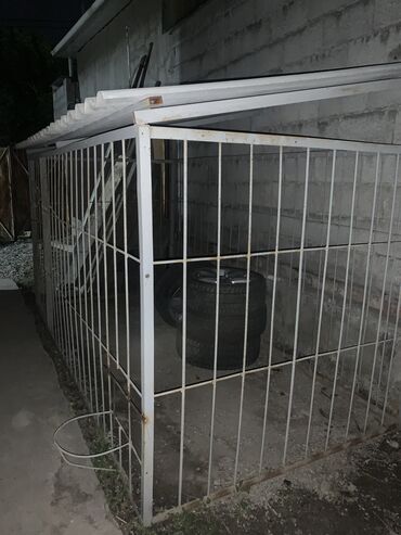Продажа собак: Немецкая овчарка, 1 месяц, Самка, С прививкой
