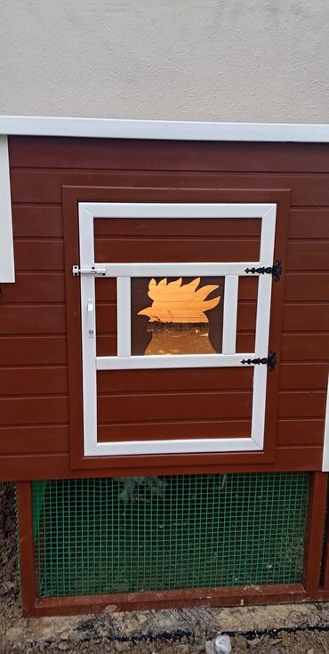 Yuvalar: Tuyuq yuvası Hin sifarişlə hazırlanması istənilən ölçüdə tam — 8