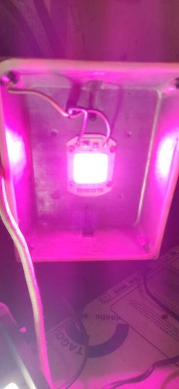 Baštenska rasveta: Led Reflektor Rast Biljki Led Grow Full Spectrum 50w 220v — 5