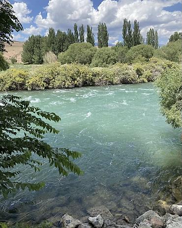 дачи сары жон: 600 соток Электричество, Водопровод — 6