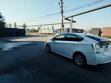 машины без прав: Toyota Prius: 2013 г., Гибрид, Лифтбек — 2