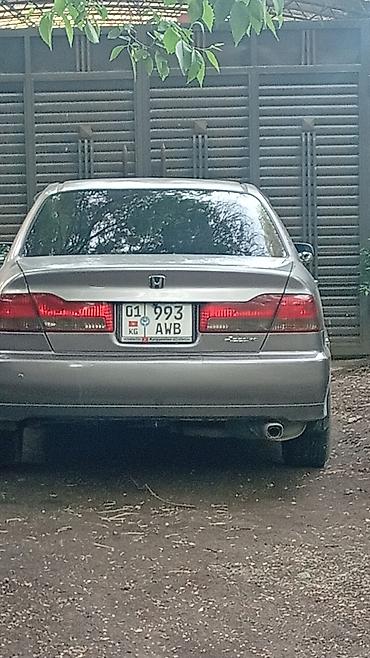 bruce r2: Honda Accord: 2001 г., 1.8 л, Автомат, Бензин, Седан — 3