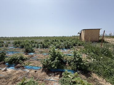 пр мира: 72 соток, Для сельского хозяйства, Тех паспорт