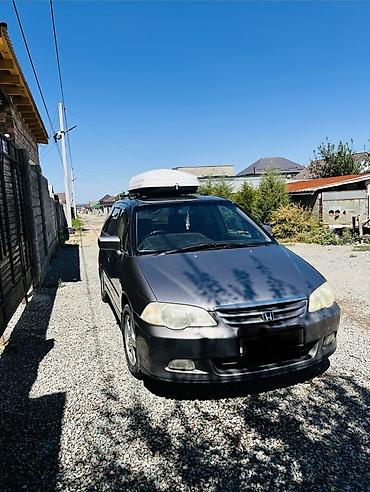 e34 4 4: Honda Odyssey: 2001 г., 2.3 л, Автомат, Газ, Универсал — 1