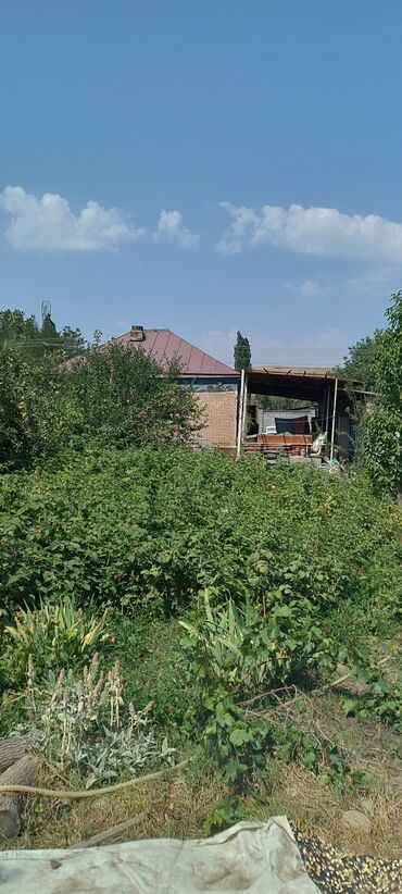 Продажа участков: 1350 соток, Для строительства, Красная книга, Тех паспорт, Договор купли-продажи — 9