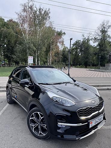 кия спортэдж: Kia Sportage: 2019 г., 2 л, Автомат, Дизель, Кроссовер — 2