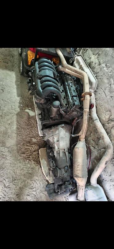 buggy motor: W202 m104 2.8 muherrik — 3