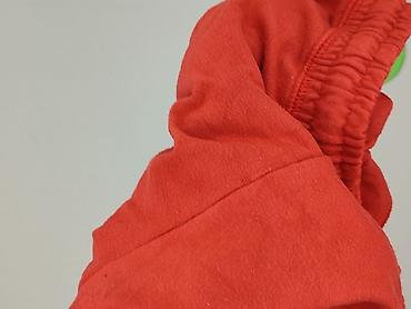 bee poland: PULL&BEAR, Szorty damskie, rozmiar M — 4