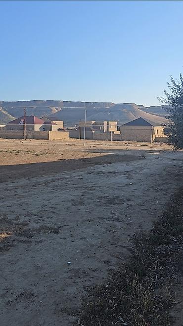 ekin sahesi: 8 sot, Tikinti, Mülkiyyətçi, Kupça (Çıxarış) — 1