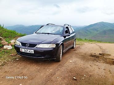 вектра: Opel Vectra: 2000 г., 1.8 л, Автомат, Бензин, Универсал — 6
