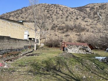 Torpaq sahələrinin satışı: 12 sot, Kənd təsərrüfatı, Mülkiyyətçi, Kupça (Çıxarış) — 12