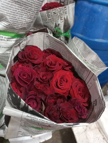 галански роза: Продаю местные розы, 30 сом, от 50 см до 90 см. Самовывоз село