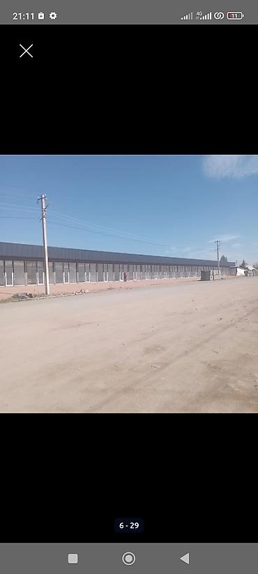 Продажа участков: 25 соток — 6