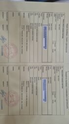 İtlər: 6 ay, Sənədli, Ünvandan götürmə — 7