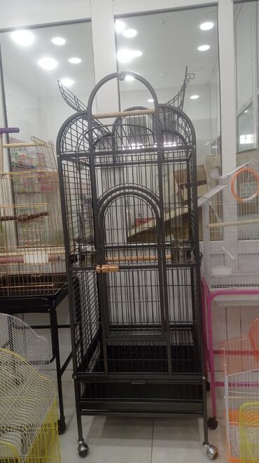 Qəfəslər: Təzə Qəfəslər 9azn boş qəfəslər Valnisti Tutuquşu Qəfəsi 9azn Amadin — 26