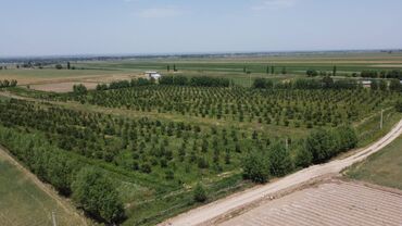 Сельхоз предприятия: 550 соток, Действующий, С оборудованием, Электричество — 9