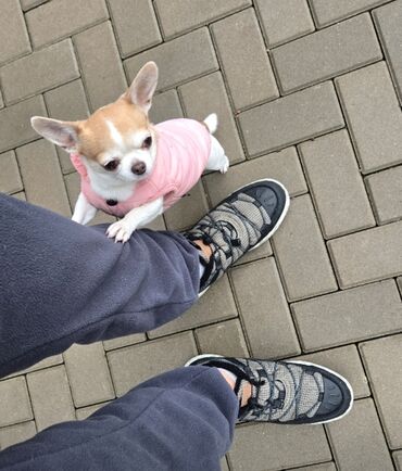 Krasofkalar və idman ayaqqabıları: Brend - TRAFFA HOSLEE Məhsul: Texniki üslublu uniseks idman, qış — 6