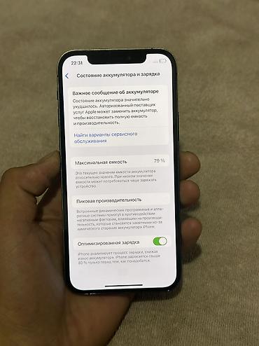true: IPhone 12 Pro, Б/у, 256 ГБ, Blue Titanium, 79 % — 10