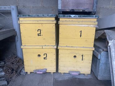 ящик пласмаса: Ящик стойка. 6 комплек рамки дадан, без пчелу