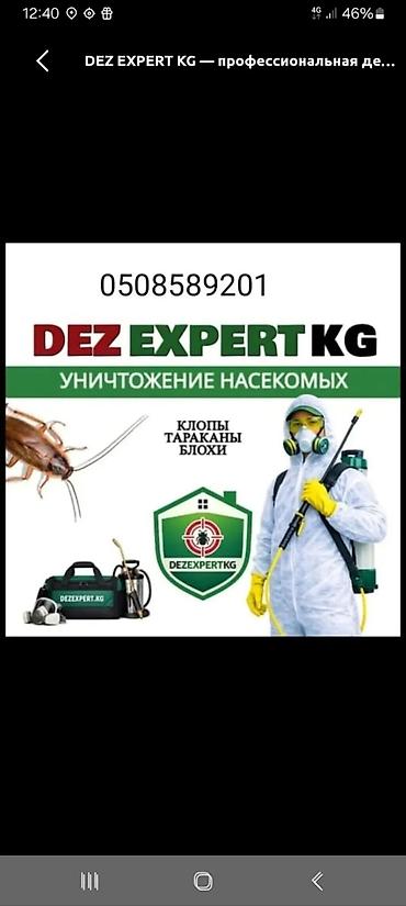клопы бишкек цена: Профессиональная дезинсекция DEZ EXPERT KG Уничтожение насекомых: - — 1