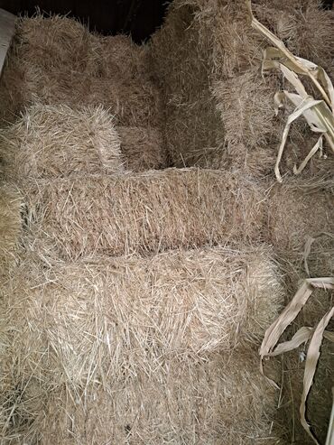 купить домик для кошки недорого: Продаю салому at lalafo.kg купить домик для кошки недорого: Продаю салому