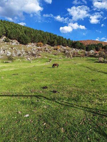i̇nşaatçılar kirayə evler: 55 sot, Kənd təsərrüfatı, Mülkiyyətçi, Bələdiyyə