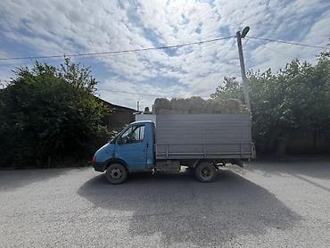 ГАЗ: Senedler qardaşın da 
Hem tendli hem bortlu 
Barter var assamatla — 1