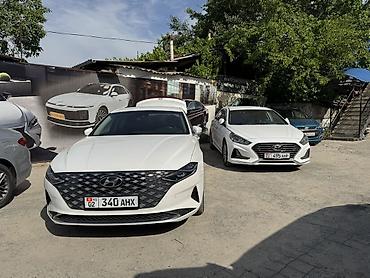 Kia: Kia Soul: 2019 г., Кроссовер — 10