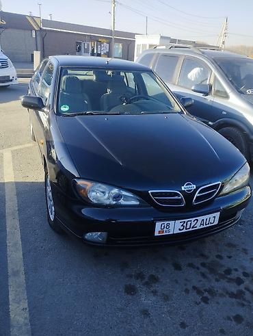 audi q4: Nissan Primera: 2001 г., 1.8 л, Механика, Бензин, Седан — 4