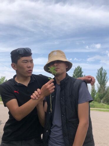 жумуш водитель в Кыргызстан | СЕТЕВОЙ МАРКЕТИНГ: Ищу работу водител