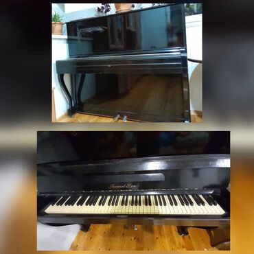 Gitaralar: Piano, Rostov-Don, Akustik, İşlənmiş, Ödənişli çatdırılma