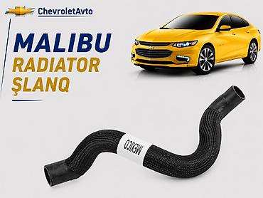 radiator termostat: Chevrolet Malibu, Yeni — 1