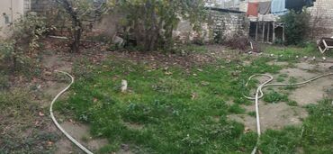 Həyət evləri və villaların satışı: Satılır: 4 otaqlı həyət evi - Planlaşdırma: geniş zal, ayrıca mətbəx — 6