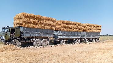 Другая сельхозтехника: Самосвал КамАЗ 6x6 с прицепами для сельхозработ и грузоперевозок. - — 3