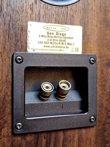 Zvučnici i stereo sistemi: Reflexion San Diego 96dB - 250 600 Watts Prelepi, snažni i zvučno — 10
