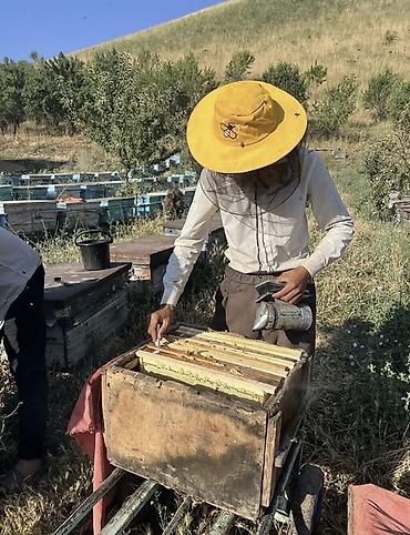 куплю мёд оптом: НАТУРАЛЬНЫЙ МЁД🍯 🌿 Алайдын тоолорунан алынган бал. 🐝 Өзгөчө даамы — 1