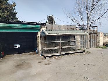 Bağ evlərinin satışı: Digah, 100 kv. m, 6 otaqlı, Hovuzsuz, Su — 10