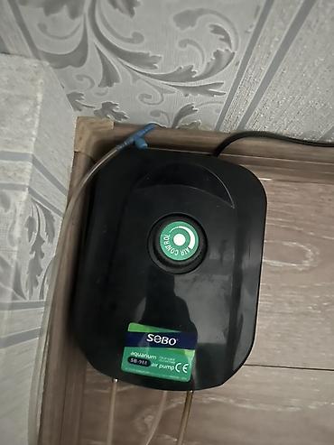 Akvariumlar: Divar tipli akvarium komplekti - Ölçü: iri ölçülü, divara bərkidilən — 3