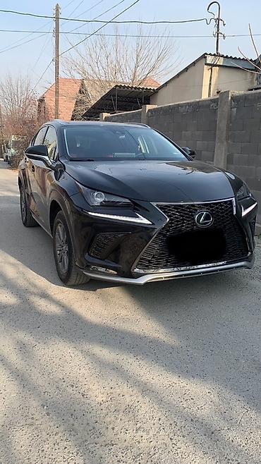 Lexus: Lexus NX: 2019 г., 2 л, Автомат, Бензин, Кроссовер — 1