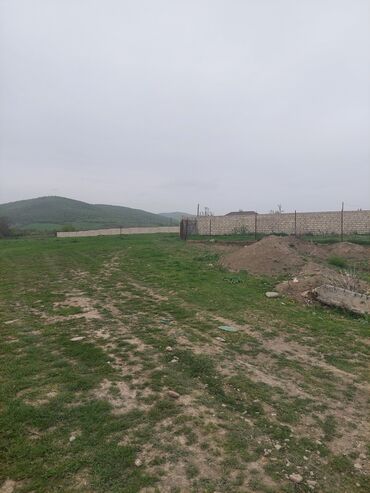 Torpaq sahələrinin satışı: 31 sot, Kənd təsərrüfatı, Kupça (Çıxarış) -da lalafo.az — 16 Torpaq sahələrinin satışı: 31 sot, Kənd təsərrüfatı, Kupça (Çıxarış) — 16