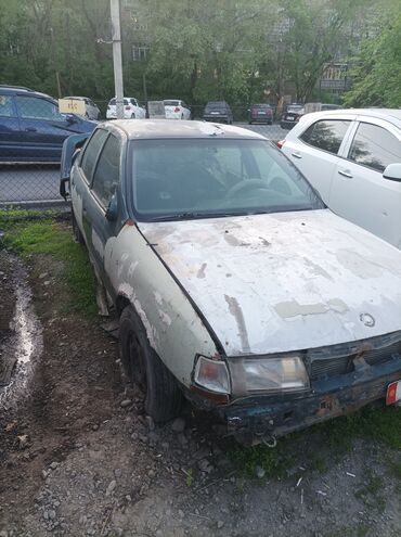 vechernee plate a silueta: Opel Vectra: 1996 г., Бензин, Седан