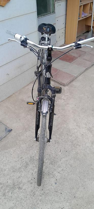 velosiped mercury: Pegasus Premio (Alu) şəhər/trek velosipedi - Yüngül alüminium gövdə - — 4